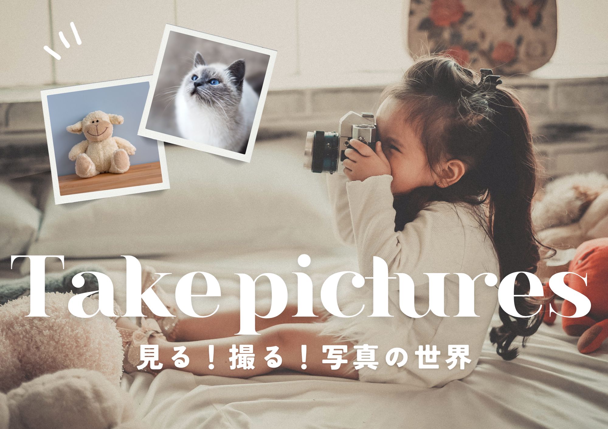 特集展示Take picturesの画像