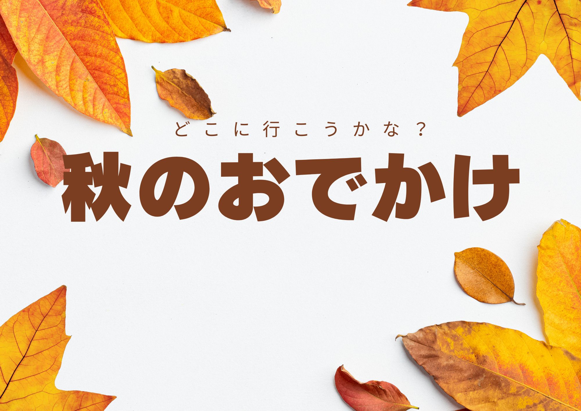 特集展示秋のおでかけの画像