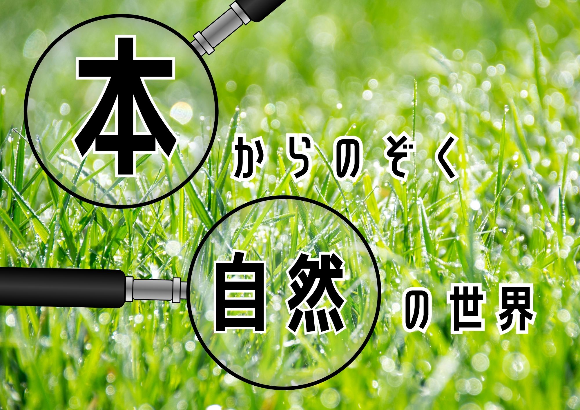 特集展示「本からのぞく自然の世界」の画像